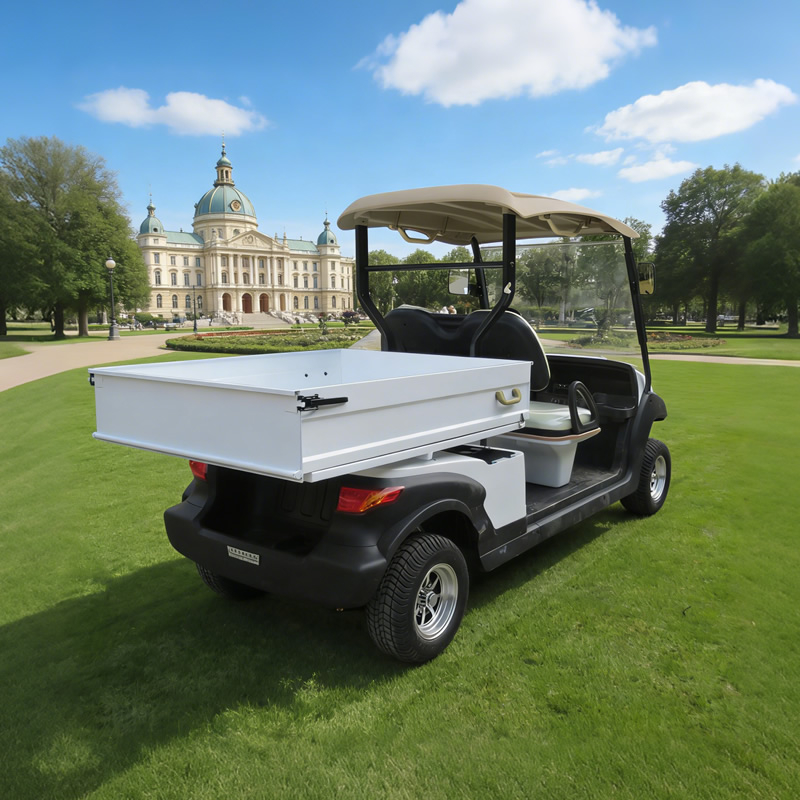 2 seater utility electric golf cart with box
