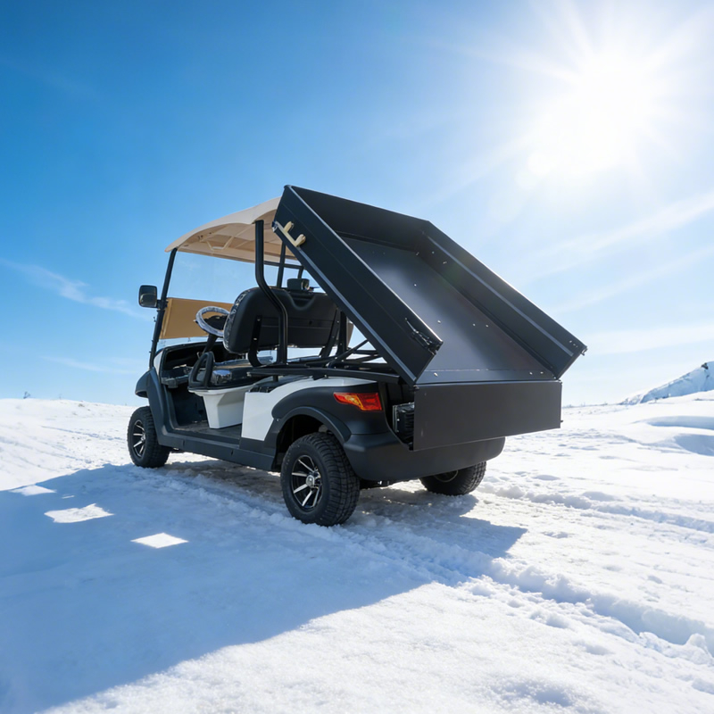 Custom Golf Cart Utility Bed with Cargo Box For Sale - Eagle Golf Cart