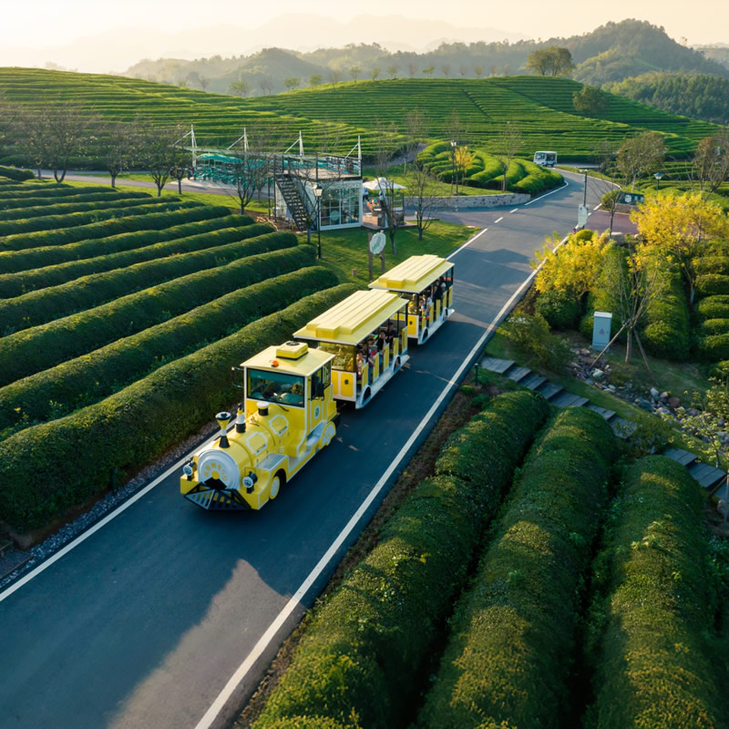 Sightseeing Trackless Trains for Sale | Perfect for Malls & Theme Parks