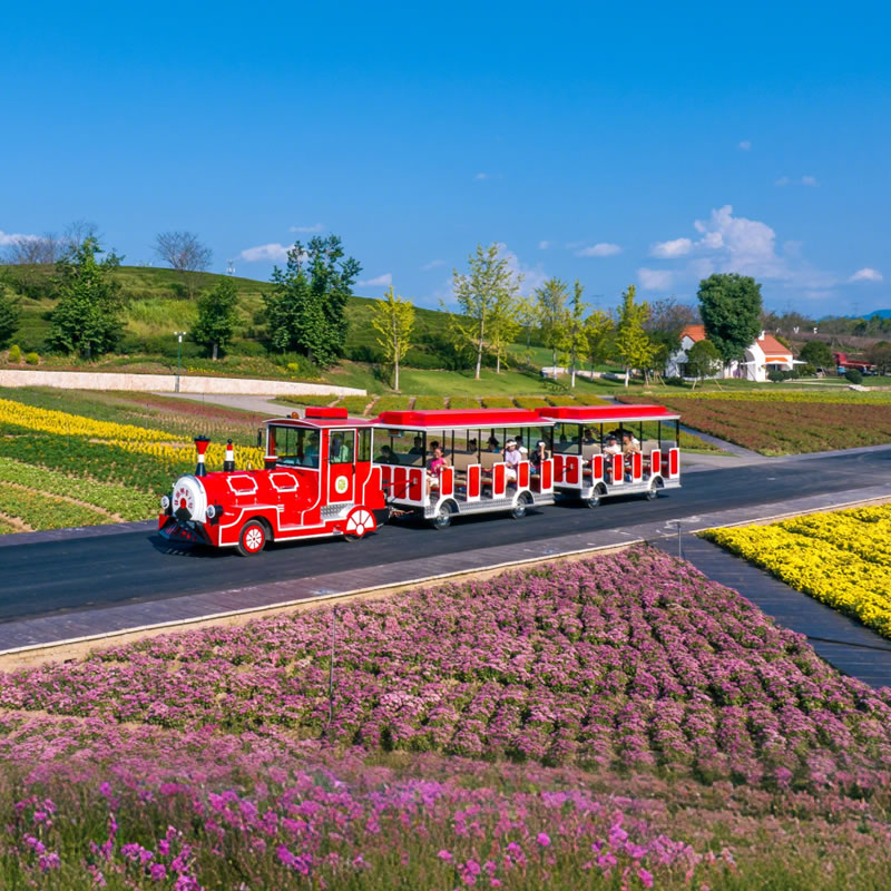 Leading Trackless Train Manufacturer | Electric Tourist Trains Factory Direct - EAGLE