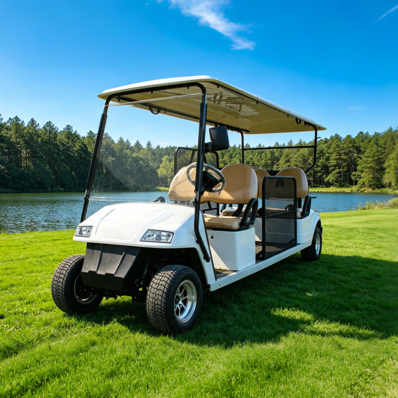 Wheelchair Accessible Electric handicapped Golf Cart / Sightseeing Tour Cart with Wheelchair Ramp - EG2068T