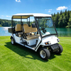 Street Legal Electric Mini Cargo Truck Lsv Golf Cart with Box - Eagle Golf Cart