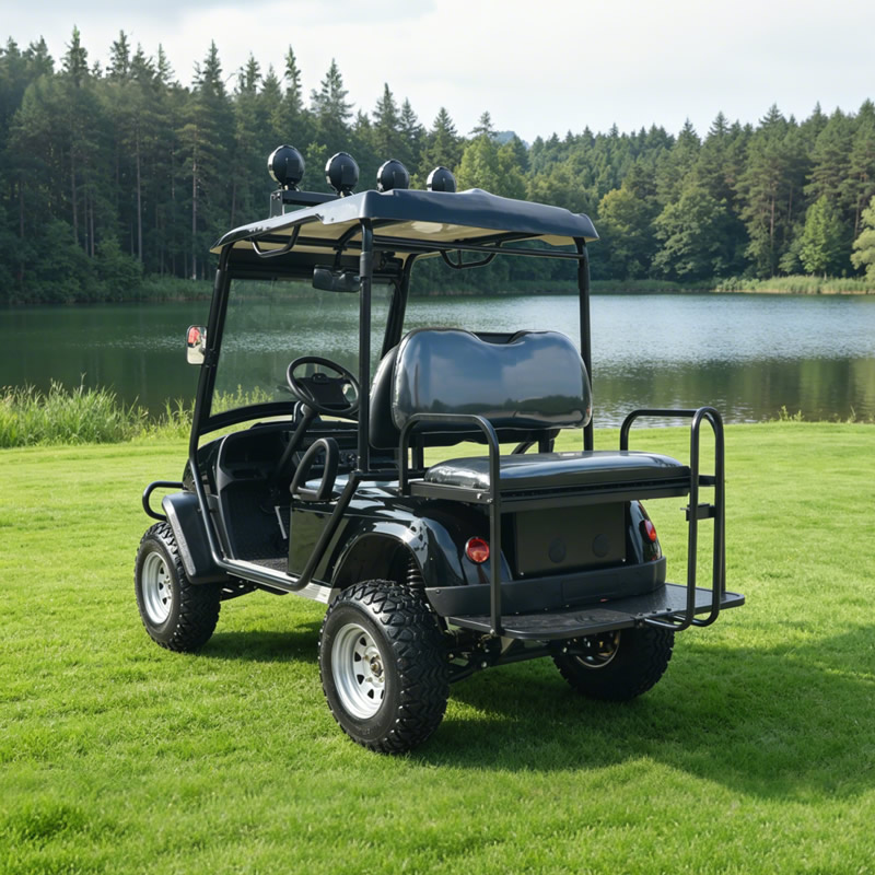 Electric 4WD 4X4 Off Road Golf Cart | Heavy Duty Hunting Offroad Buggy China Manufacturer