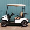 Chinese 2 seat electric mini golf cart - EG202EK