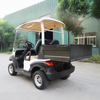 Custom Utility Golf Cart with Box Manufacturer