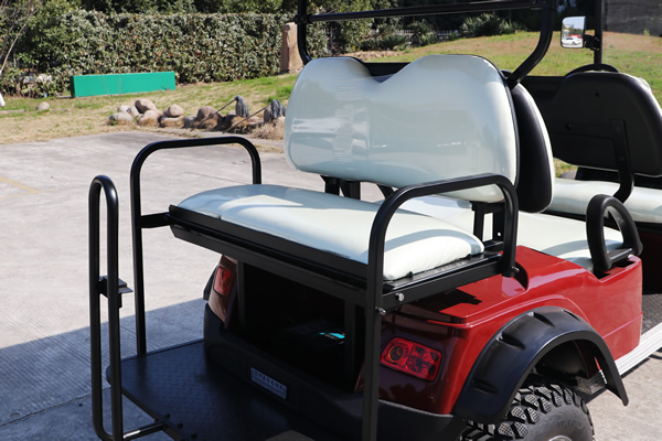  2+4 6 Seat Electric Off Road Golf Cart - EG2024ASZ