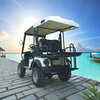 Wholesale Chinese 48V 2 Seat Off Road Golf Cart Manufacturer