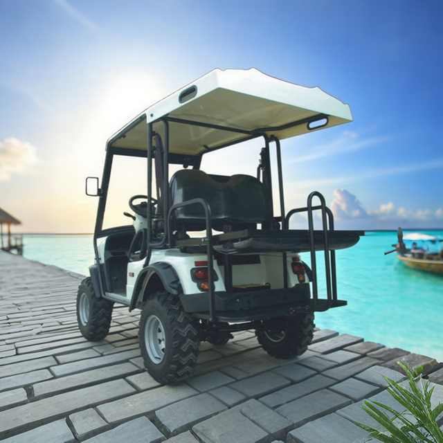 Wholesale Chinese 48V 2 Seat Off Road Golf Cart Manufacturer