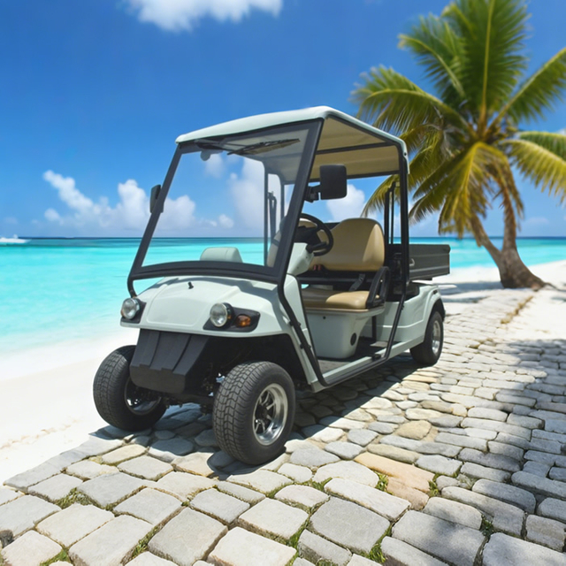 Custom Electric Street Legal Cargo Golf Carts with Box