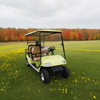 Sightseeing 6 Person Electric Buggy Golf Cart - EG2048KSZ