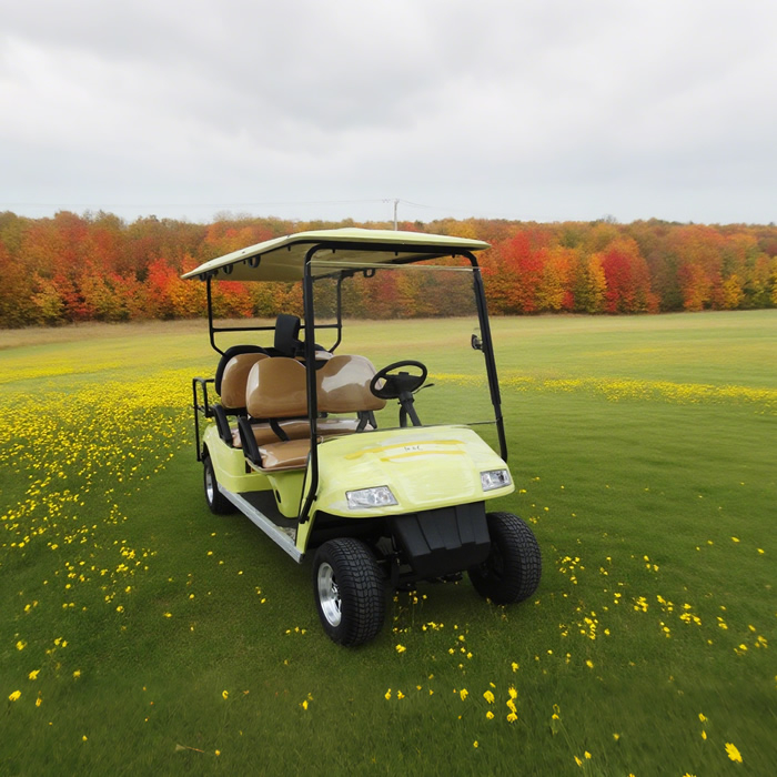 Sightseeing 6 Person Electric Buggy Golf Cart - EG2048KSZ