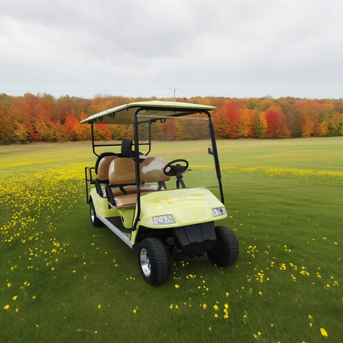 Sightseeing 6 Person Electric Buggy Golf Cart - EG2048KSZ