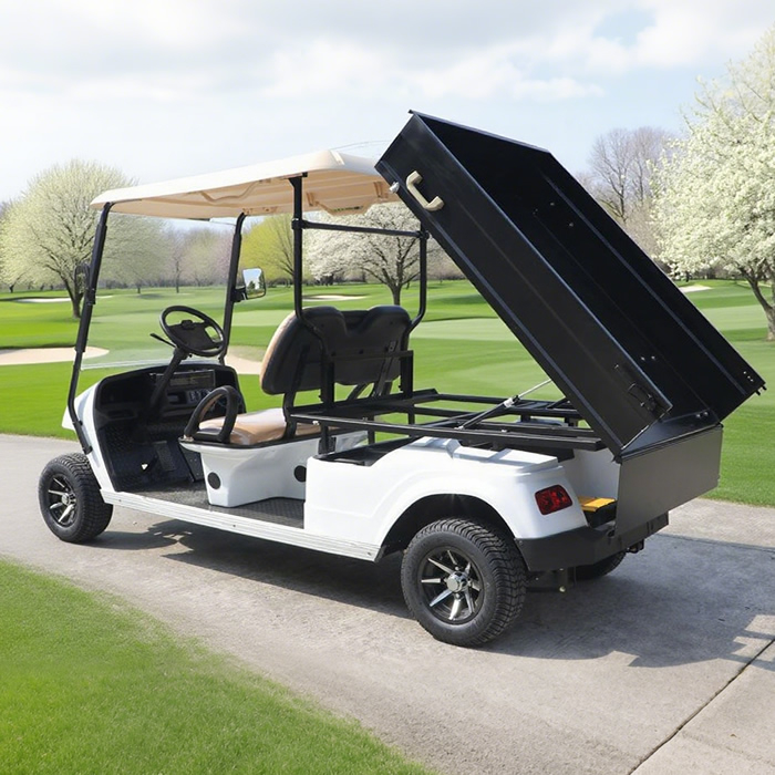 Utility Cargo Truck Golf Cart with Box - EG2048HCX