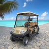 4 Seater Golf Carts Wholesale Wholesale Manufacturer - EG204AK