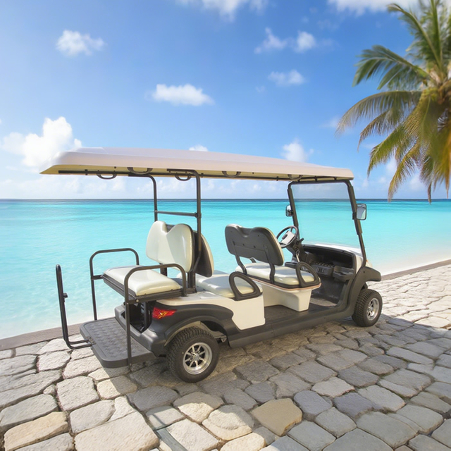 4+2 6 seater battery electric golf cart - Eagle Golf Cart