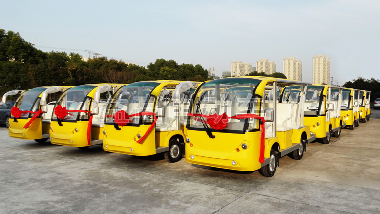 EAGLE Electric Sightseeing Bus Car Vehicle Shipped To Vietnam