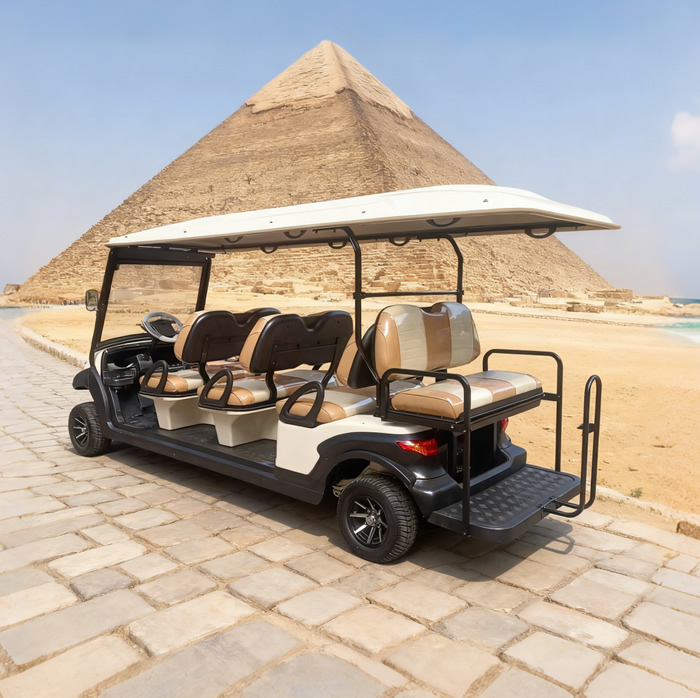 Eight 8 Passenger Person Seater Electric Buggy Golf Carts for Sale - EG206AKSZ