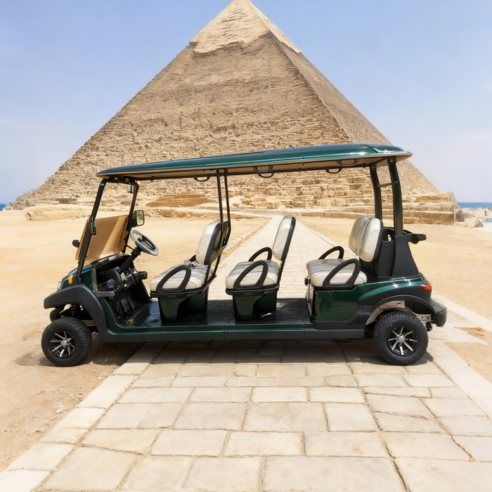 Carros Palos De Golf Electricos Nuevos Chinos Republica Dominicana Personalizados