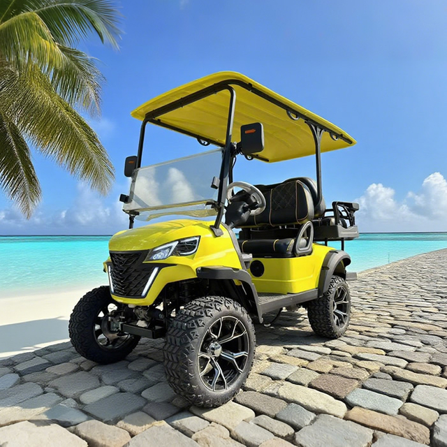 Luxury lifted utility 2+2 4 person seater golf cart