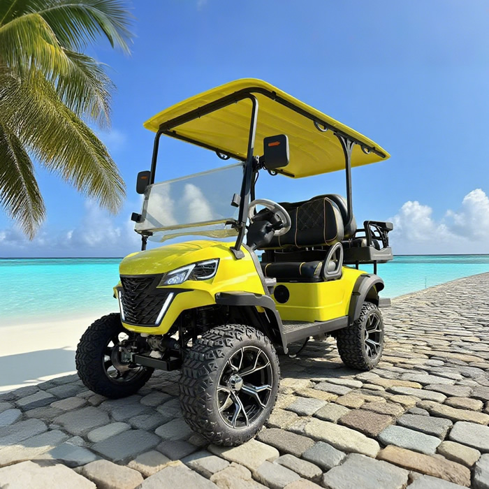 Luxury lifted utility 2+2 4 person seater golf cart