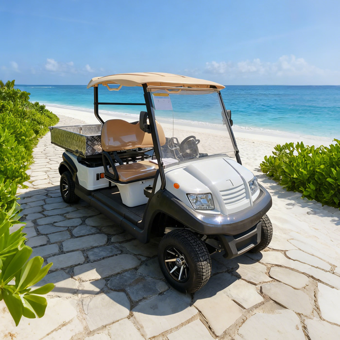 Electric Golf Cart Utility Cargo Bed Box For Sale