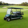 OEM ODM Chinese 48v Electric Custom Lithium Battery 6 Seater Golf Cart