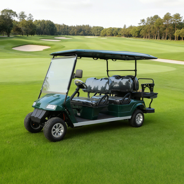 OEM ODM Chinese 48v Electric Custom Lithium Battery 6 Seater Golf Cart