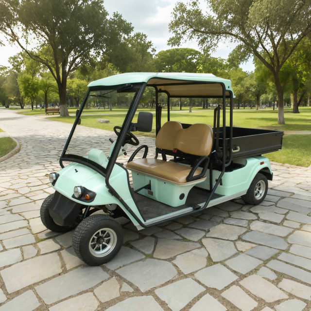 Custom Electric Street Legal Cargo Golf Carts with Box