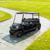 Top Manufacturer & Supplier of 6 Seater Golf Carts Prices