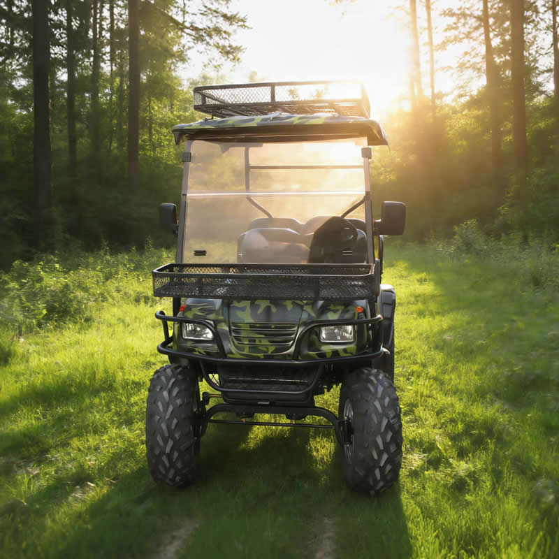 Custom Wholesale Lithium Electric Off Road Golf Cart 