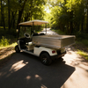 Golf Cart with Stainless steel Cargo Dump Bed