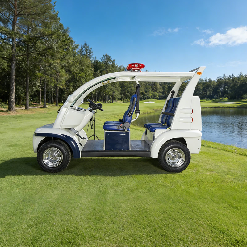 Wholesale Manufacturer Battery Patrol Golf Cart 