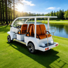 6 Seater Electric Golf Cart for Sale - China Commercial Golf Buggy Supplier 