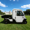 Electric Mini Truck: 2-Seater Street Legal Enclosed Utility Vehicle for Maintenance