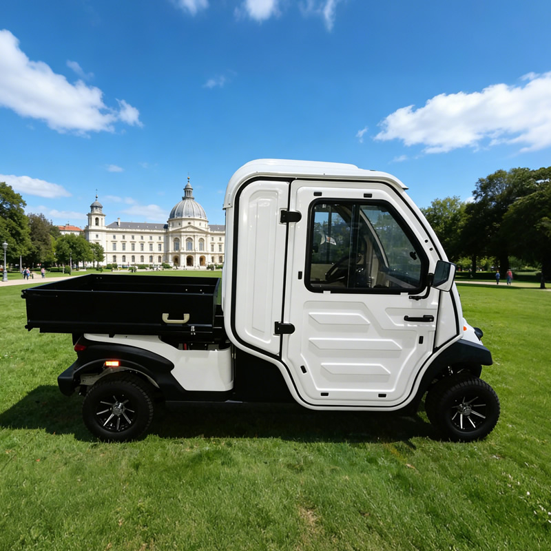 Electric Mini Truck: 2-Seater Street Legal Enclosed Utility Vehicle for Maintenance