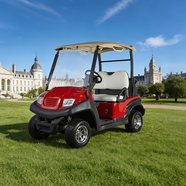 High Quality 2 Seater Mini Electric Battery Golf Cart 