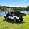 48v 4 seater golf cart with cargo box - Eagle Golf Cart