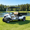 Utility Golf Carts Buggy with Cargo Box - Eagle Golf Cart