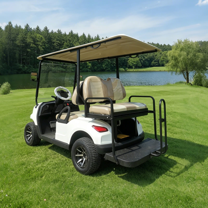 Luxury 4 Seater Golf Cart Electric - Eagle Golf Cart