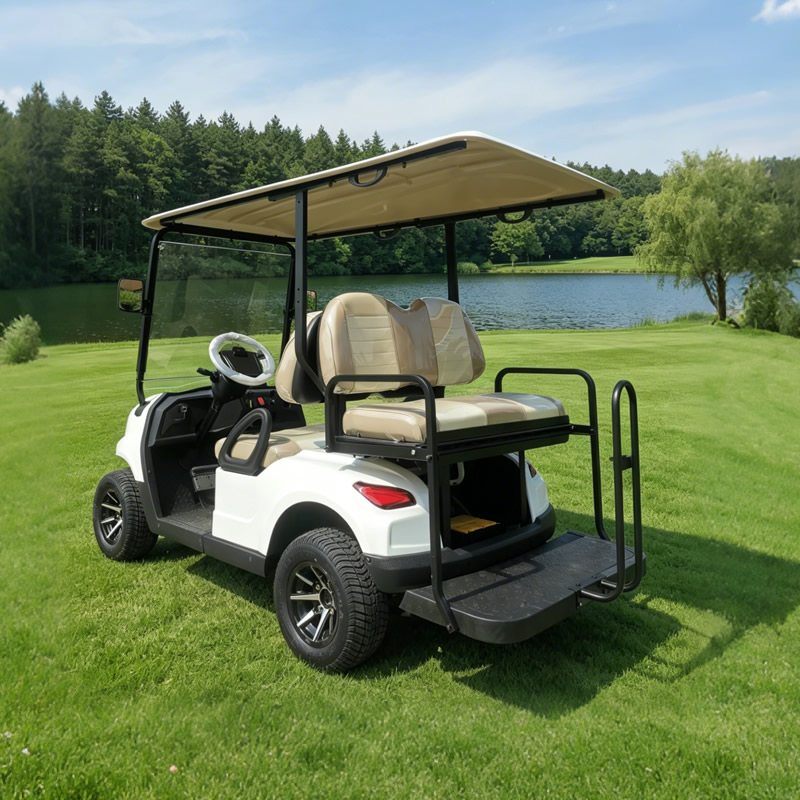 Luxury 4 Seater Golf Cart Electric - Eagle Golf Cart