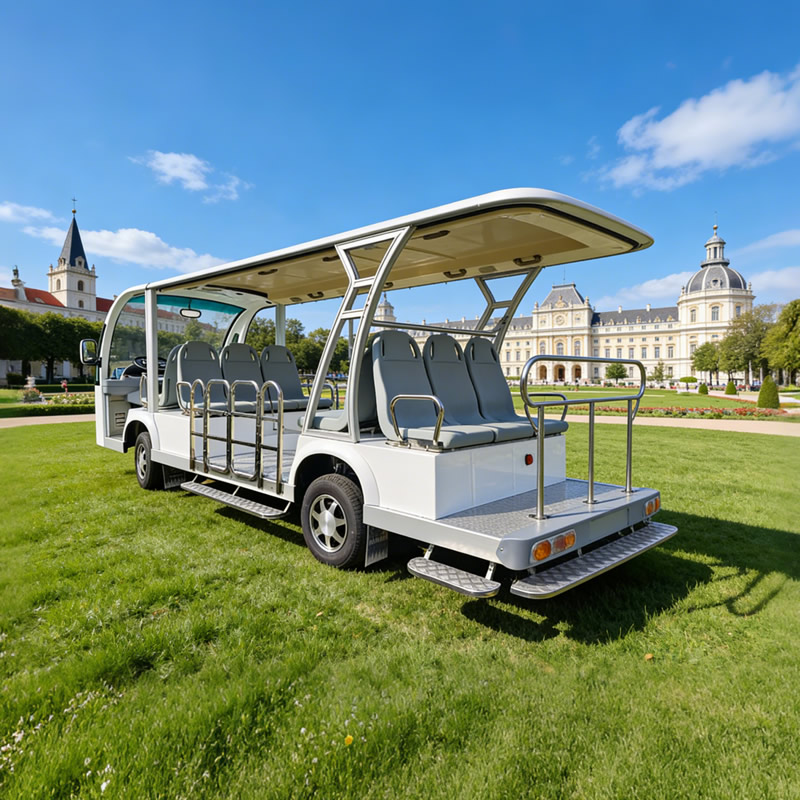 Factory Direct Electric Handicap Wheelchair Accessible Sightseeing Car with Foldable Ramp for Disabled & Elderly