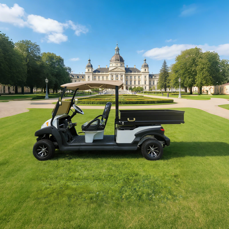 Custom Golf Cart Utility Bed with Cargo Box For Sale