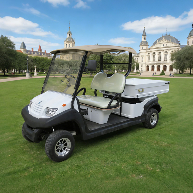 2 seater utility electric golf cart with box