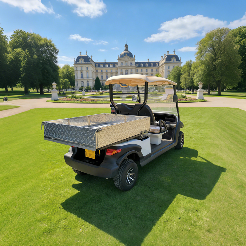 Electric Golf Cart Utility Cargo Bed Box For Sale