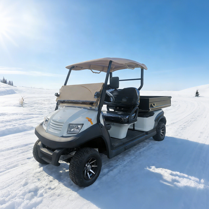 Custom Golf Cart Utility Bed with Cargo Box For Sale - EG204AHCX