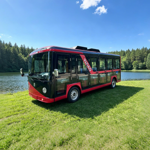 Electric Sightseeing Enclosed Mini Bus