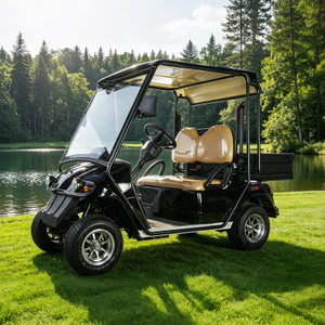 China Mini 2 Seater Electric Hunting Offroad Golf Off Road Buggy - Eagle Golf Cart