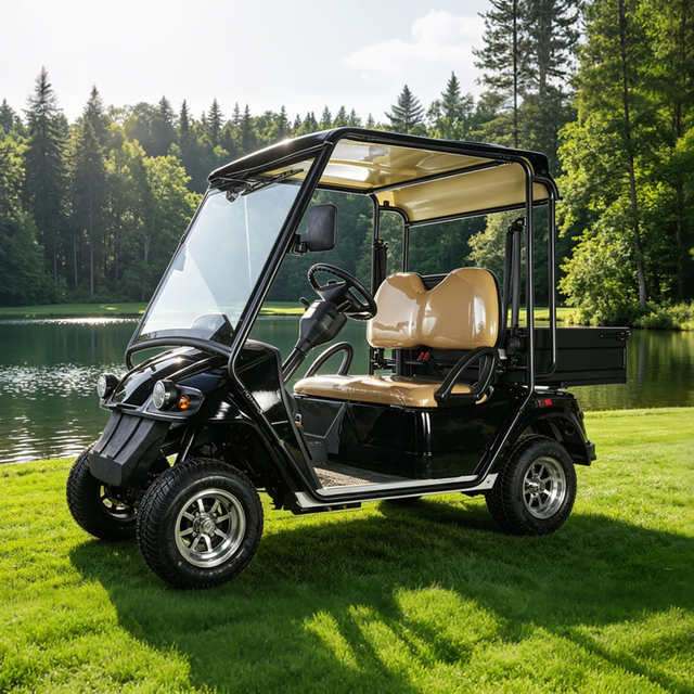 China Mini 2 Seater Electric Hunting Offroad Golf Off Road Buggy - Eagle Golf Cart