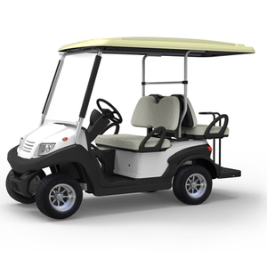 Best ev golf cart buggy - EG202AKSF