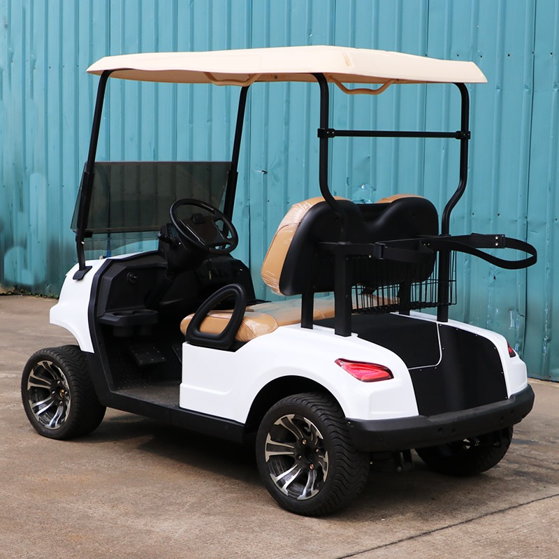 Chinese 2 seat electric mini golf cart - EG202EK
